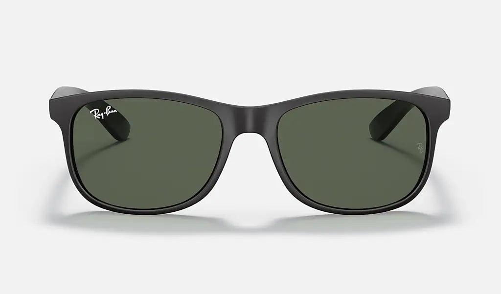 Ray-Ban RB4202 Andy